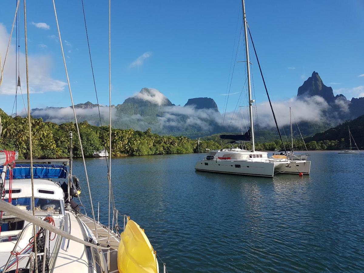 2 Nuits Insolites & 1 Excursion Voile A Bord Du Voilier Mori Ora Moorea Exteriör bild