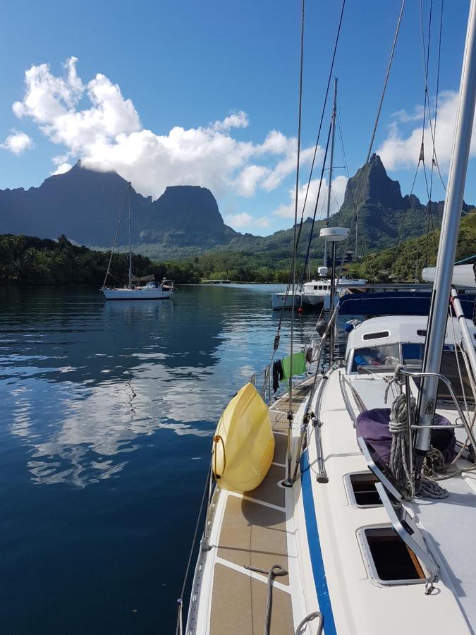 2 Nuits Insolites & 1 Excursion Voile A Bord Du Voilier Mori Ora Moorea Exteriör bild